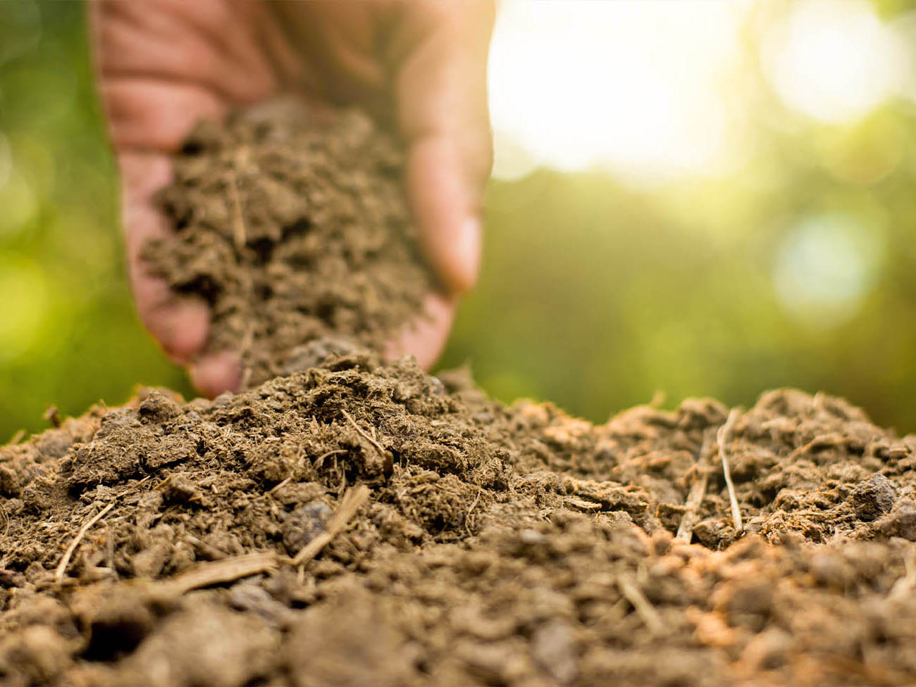 瀧本農園がこだわっていること画像