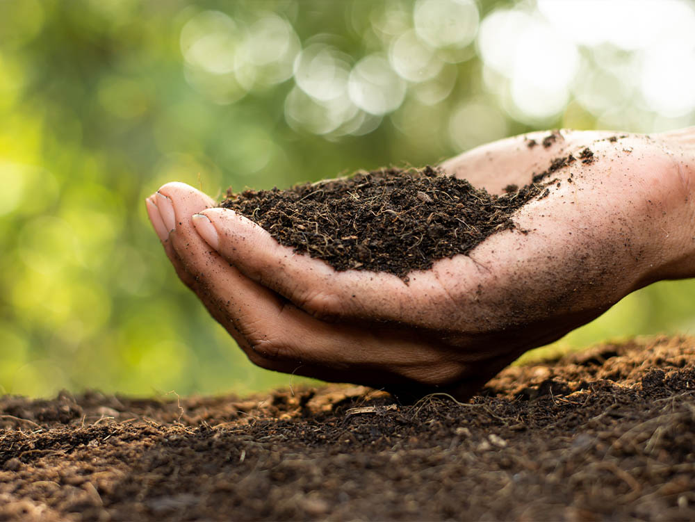 美味しい野菜は土づくりから画像