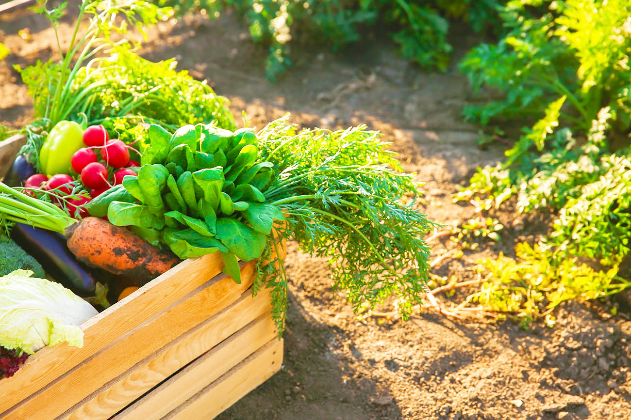 代表メッセージ画像