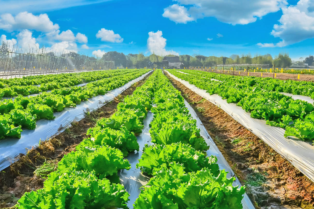 代表メッセージ画像