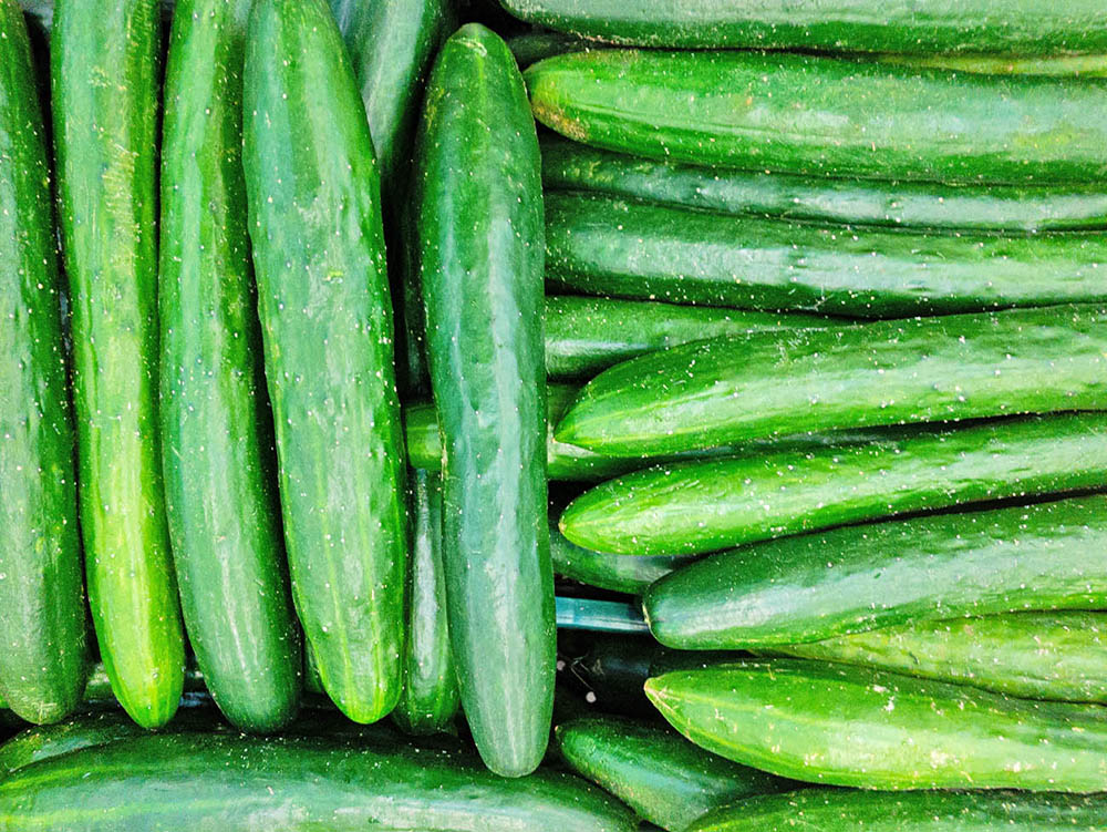 きゅうり画像