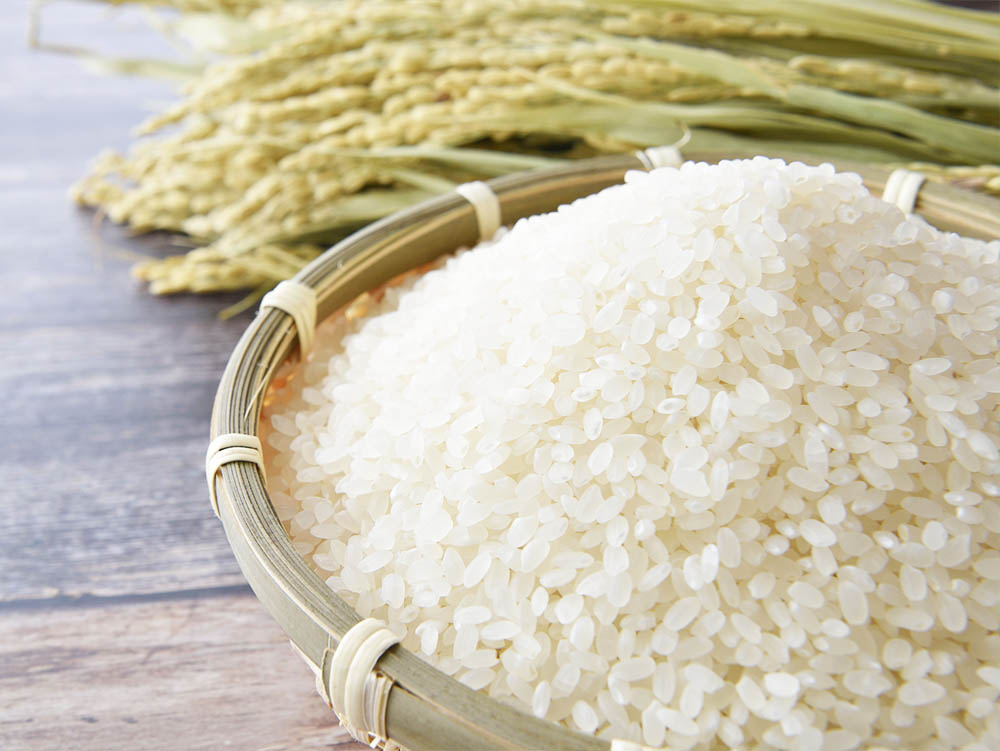 お米画像